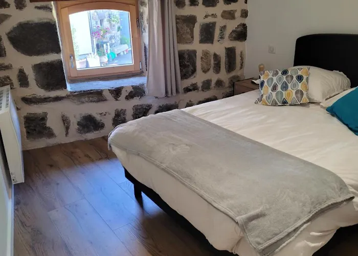 Le Moulin Des Puys 3* Орсин