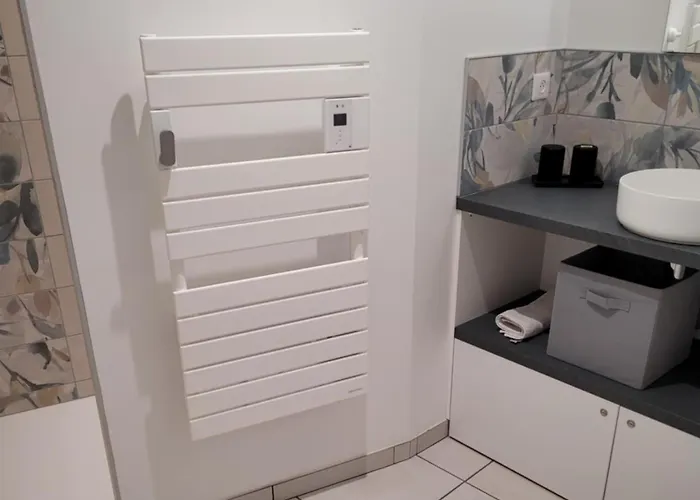 Le Moulin Des Puys 3* Орсин