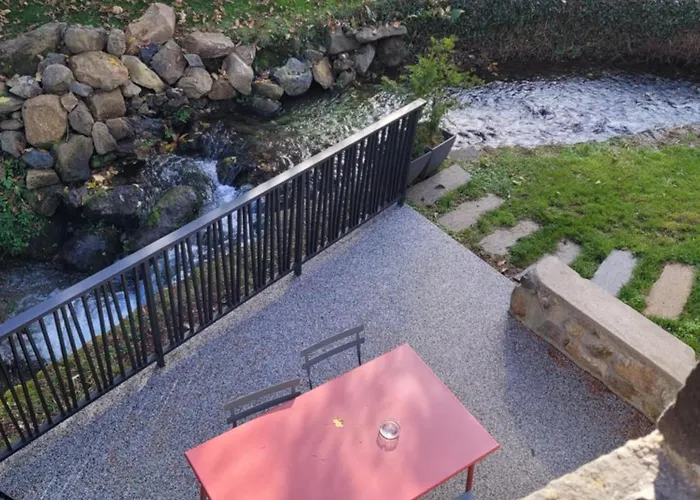 Le Moulin Des Puys 3* Орсин