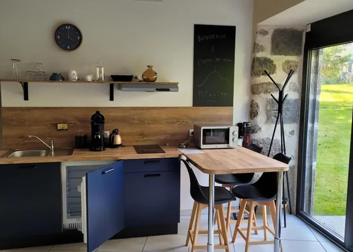 Le Moulin Des Puys 3* Орсин