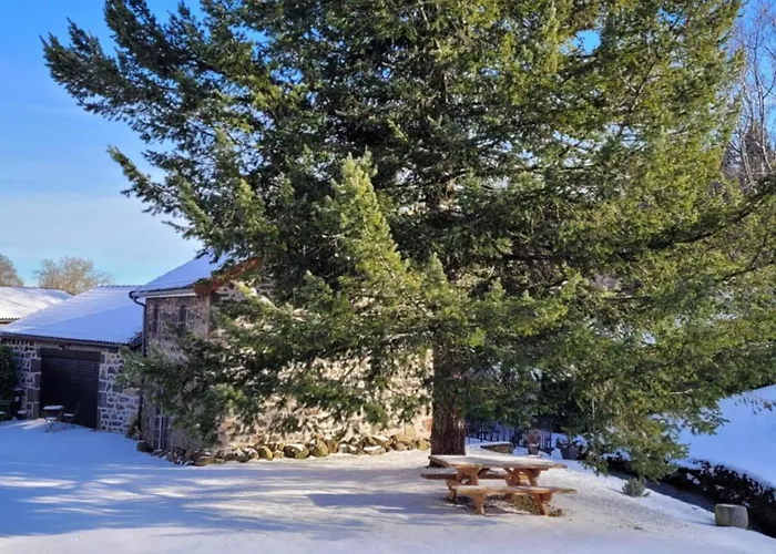 Le Moulin Des Puys Гостевой дом 3*